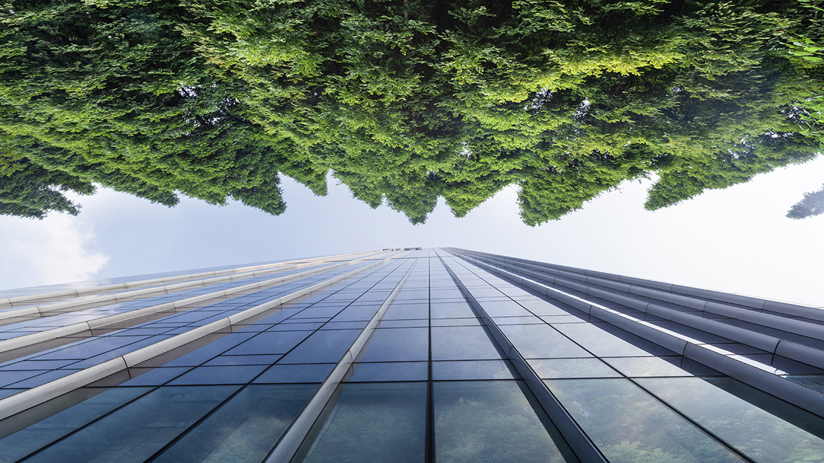 A skyscraper facing towering trees to represent the meeting of business and ecology